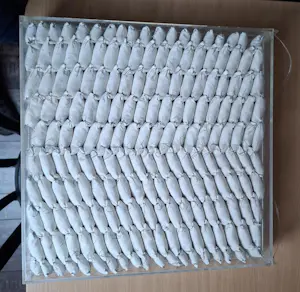 Gerda Edens - gerda edens kopen? Bied vanaf 120!