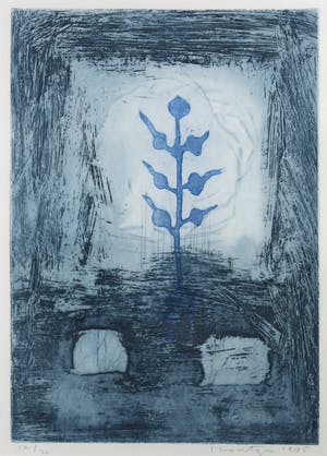 Jan Montyn - Ets en aquatint, Flower of N.K. - Ingelijst kopen? Bied vanaf 120!