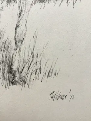 Piet Klaasse - Paarden, proefdrukken offsetlitho, 2-zijdig bedrukt, gesigneerd in druk kopen? Bied vanaf 20!