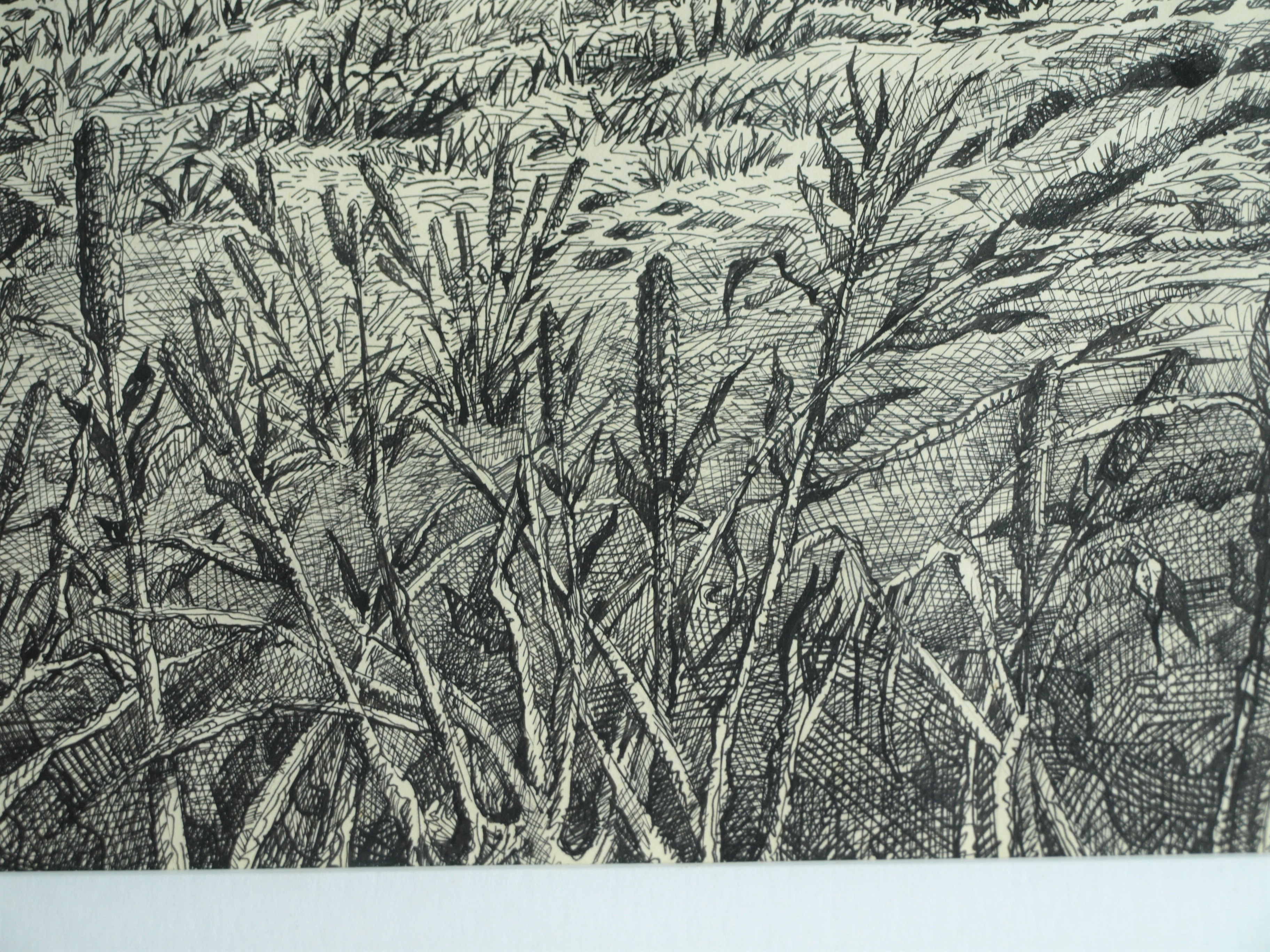 Hans Boon - Pentekening , Duinlandschap – gesigneerd & ingelijst – ca 1977  kopen? Bied vanaf 1!