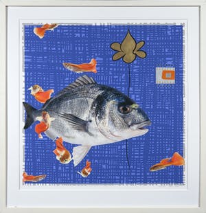 Mark Verdoes - Handbewerkte giclée, Trouble in paradise I - Ingelijst kopen? Bied vanaf 1!