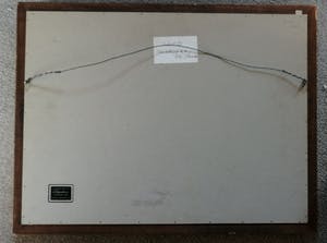 Anton L. Koster - Bloembollenveld bij de "Glip" (Heemstede) kopen? Bied vanaf 1950!