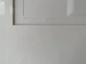 Harry van Kuyk - Letter i kopen? Bied vanaf 450!