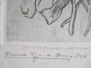 Ruurd van den Berg - Ets Tulpen kopen? Bied vanaf 25!