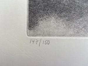 Colette Meltzer-Haesaerts - Touring High kopen? Bied vanaf 5!