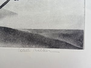 Colette Meltzer-Haesaerts - Touring High kopen? Bied vanaf 5!