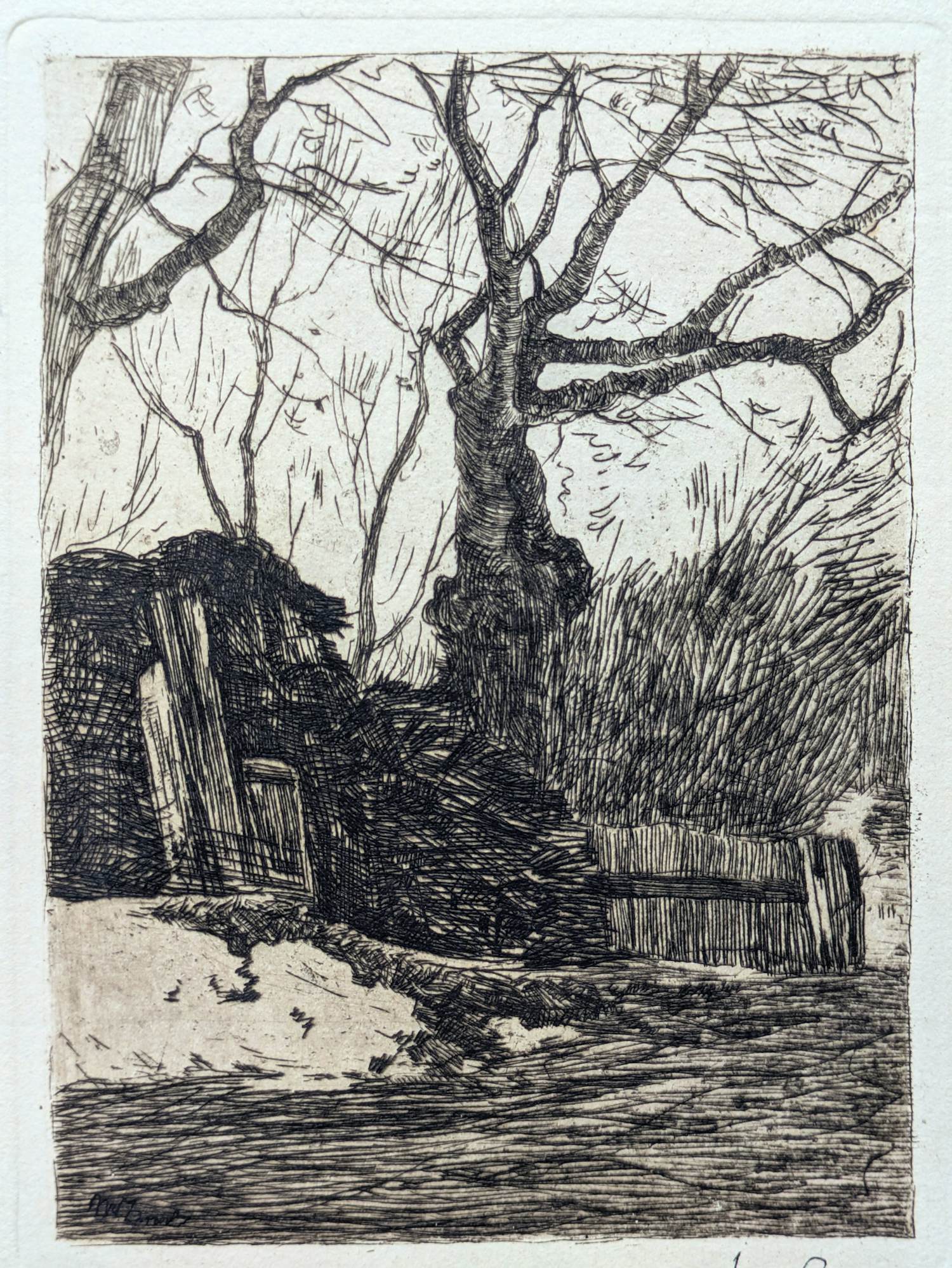 Willem de Zwart - 1889 - Takkenbos bij een heining met bomen verkocht voor € 40!