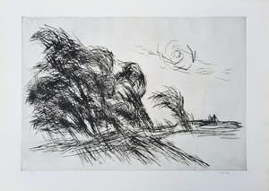 Anton Buytendijk - drogenaaldets 'Waterland' - Prent 190 - INGELIJST 21919 kopen? Bied vanaf 1!