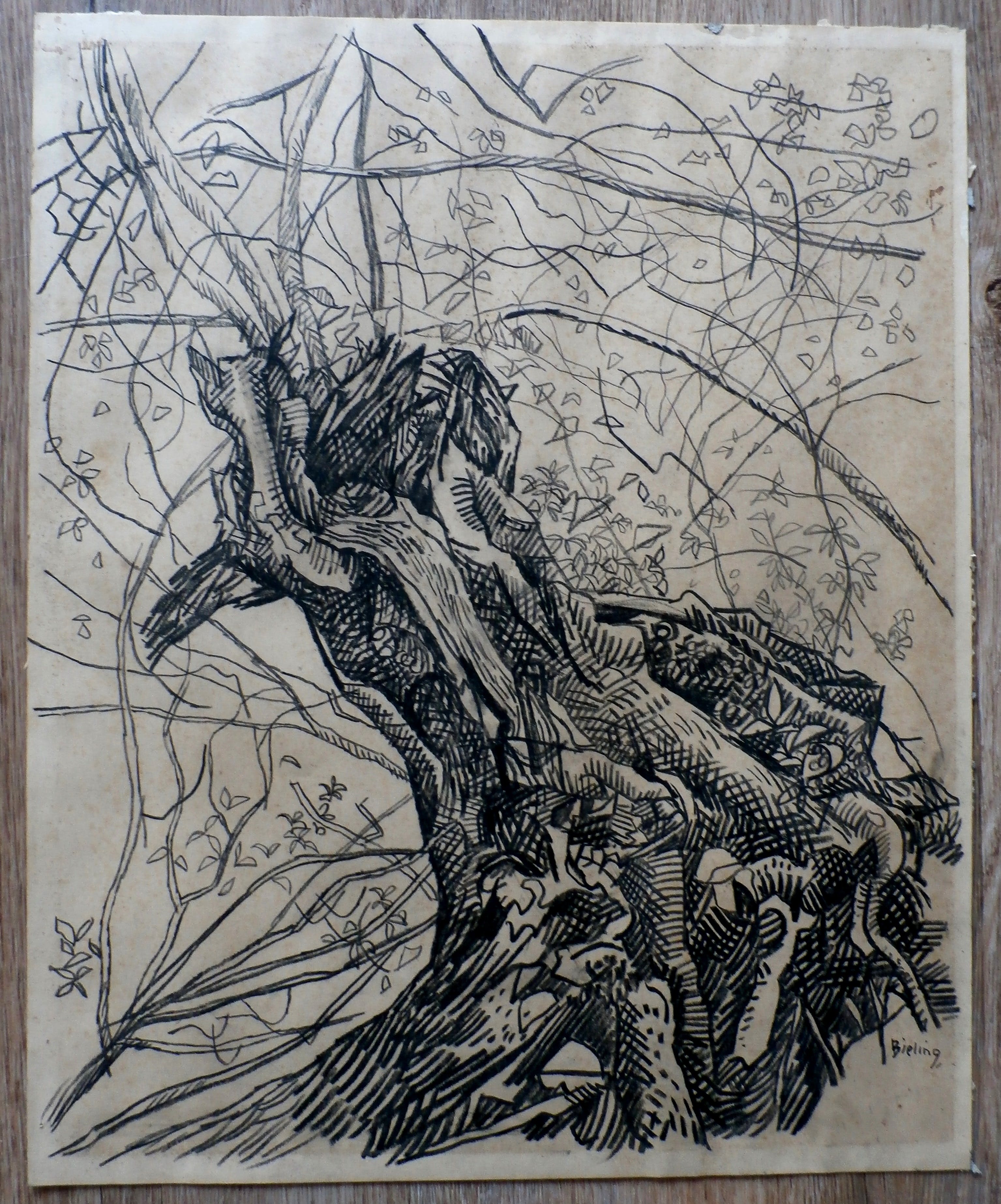 Herman Bieling - potloodtekening: boom kopen? Bied vanaf 40!