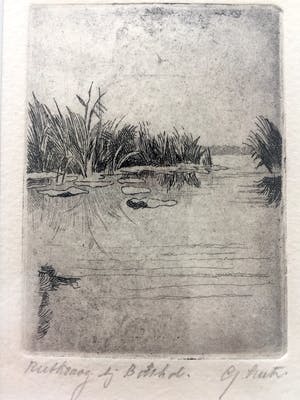 Gerard Lutz - Rietkraag bij Botshol - Ets, Ingelijst kopen? Bied vanaf 35!