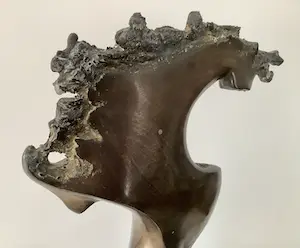 Doko Dokov - Paarden hoofd kopen? Bied vanaf 700!