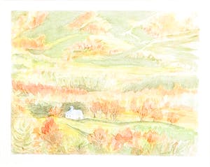 Niet of onleesbaar gesigneerd - Aquarel, Zonder titel - Ingelijst kopen? Bied vanaf 1!