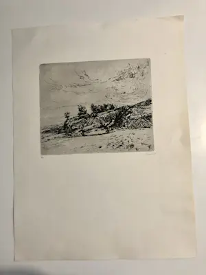 Adri Dijkhorst - Noord Spaanse kust kopen? Bied vanaf 50!