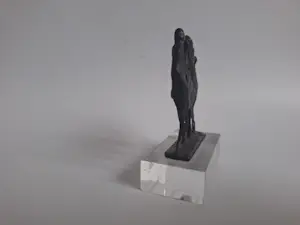 Corry Ammerlaan - Samen kopen? Bied vanaf 25!