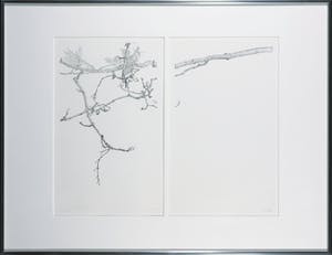 Reinder Homan - Dubbele ets, Z.T. Bloesemtakken in de knop - Ingelijst kopen? Bied vanaf 100!