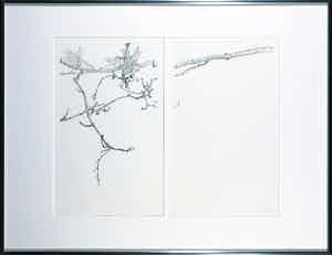 Reinder Homan - Dubbele ets, Z.T. Bloesemtakken in de knop - Ingelijst verkocht voor € 100!