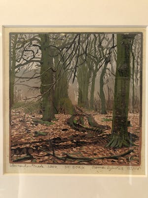 Siemen Dijkstra - De Bork kopen? Bied vanaf 180!