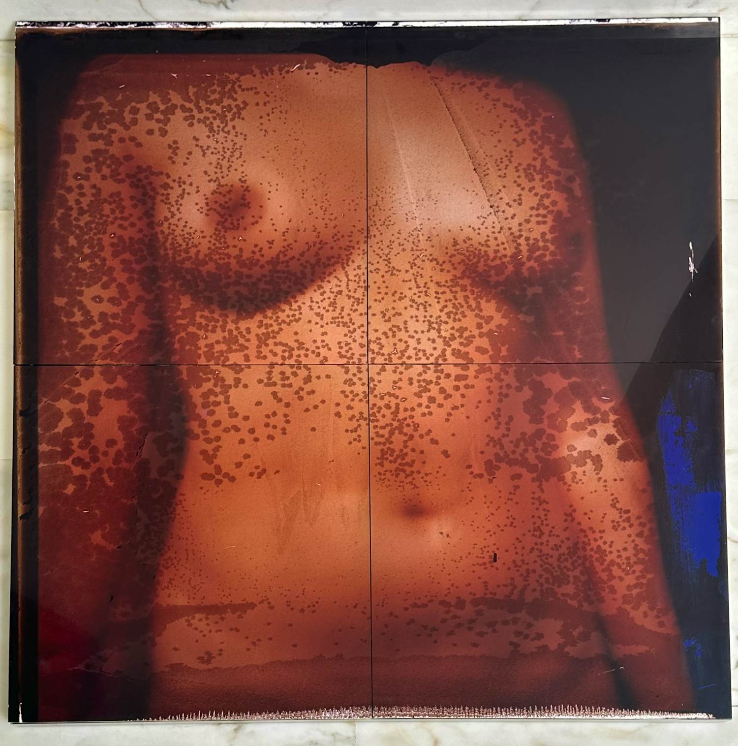 Anne Kreiter - Female Body kopen? Bied vanaf 120!