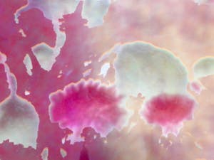 Reinoud van Vught - zonder titel kopen? Bied vanaf 50!