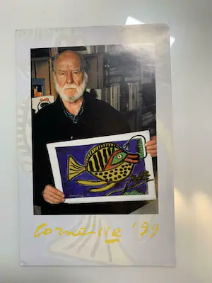 Corneille - vis / ovenschaal kopen? Bied vanaf 55!