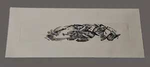 Jan Prins - Fraaie anatomische droge naald Ets "schildpad III (ontleedt)" zeer kleine oplage kopen? Bied vanaf 38!