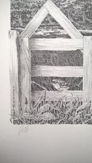 Peter Vos - Verte - gesigneerde litho kopen? Bied vanaf 250!