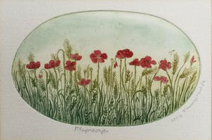 Truusje Mul - Klaproosjes | kleuren ets - ingelijst kopen? Bied vanaf 19!