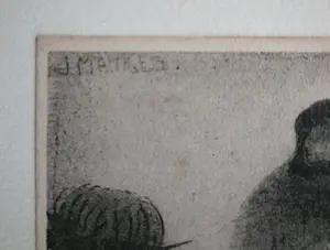 Jan Mankes - Heliogravure. Vogel. kopen? Bied vanaf 1!