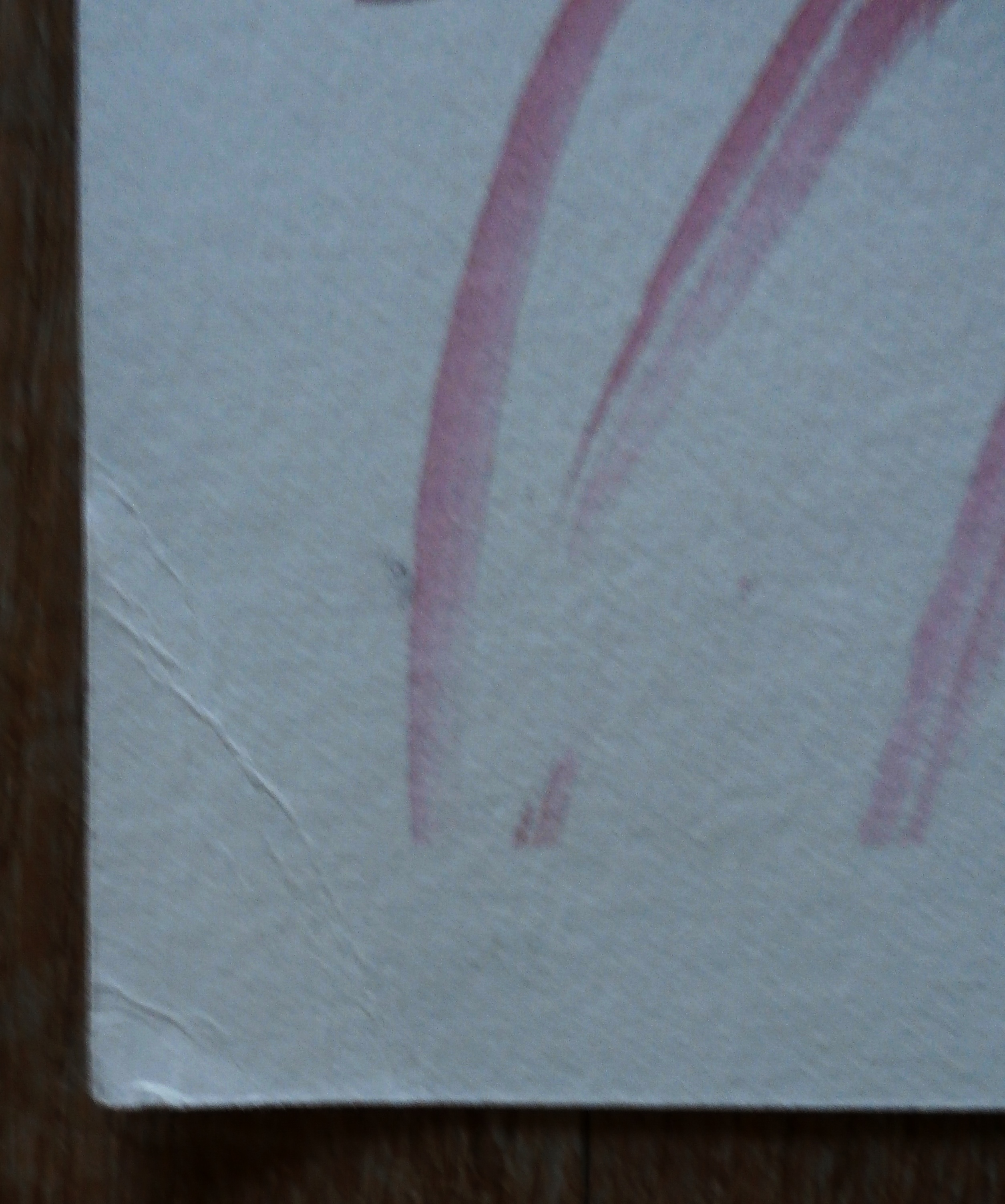 Anton Martineau - zeefdruk - oplage 25 stuks kopen? Bied vanaf 49!