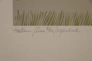 Harr Scheffer - Hallum kopen? Bied vanaf 25!