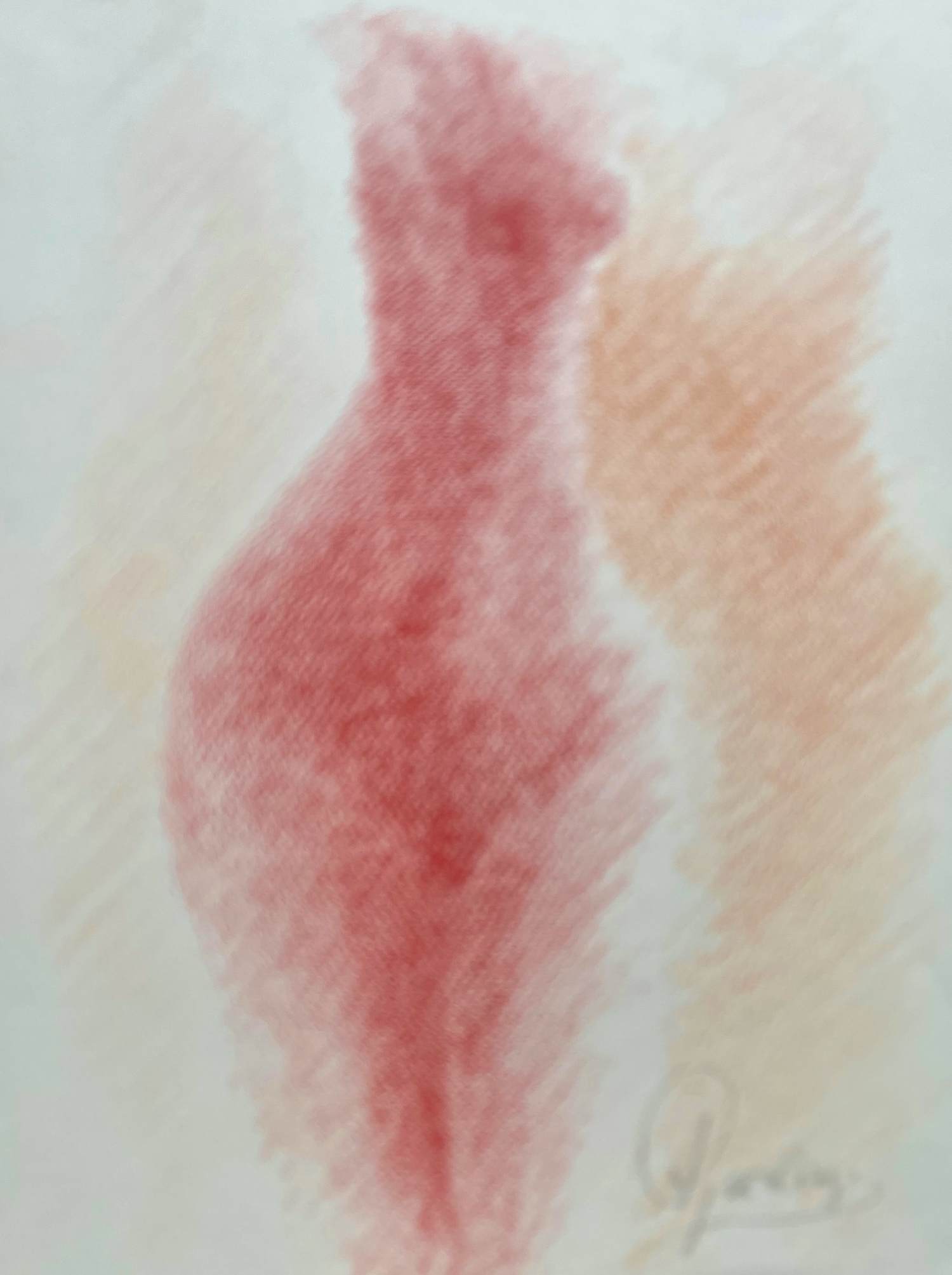 Anton Geerlings - Naakt kopen? Bied vanaf 60!