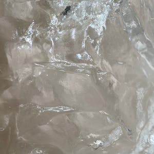 Jolanda Prinsen - Zware glazen schaal met een decor van schelpen en kokkels kopen? Bied vanaf 50!