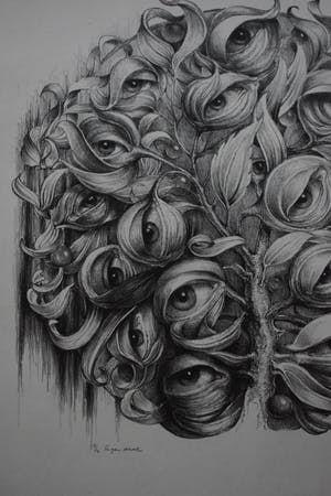 Hans van Dokkum - De ogenboom kopen? Bied vanaf 60!