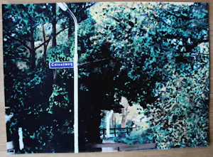 Rob Scholte - Zeefdruk: 'Colnot' - 2006 kopen? Bied vanaf 65!