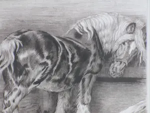 Kuno Brinks - Paard in de stal - Gravure kopen? Bied vanaf 100!