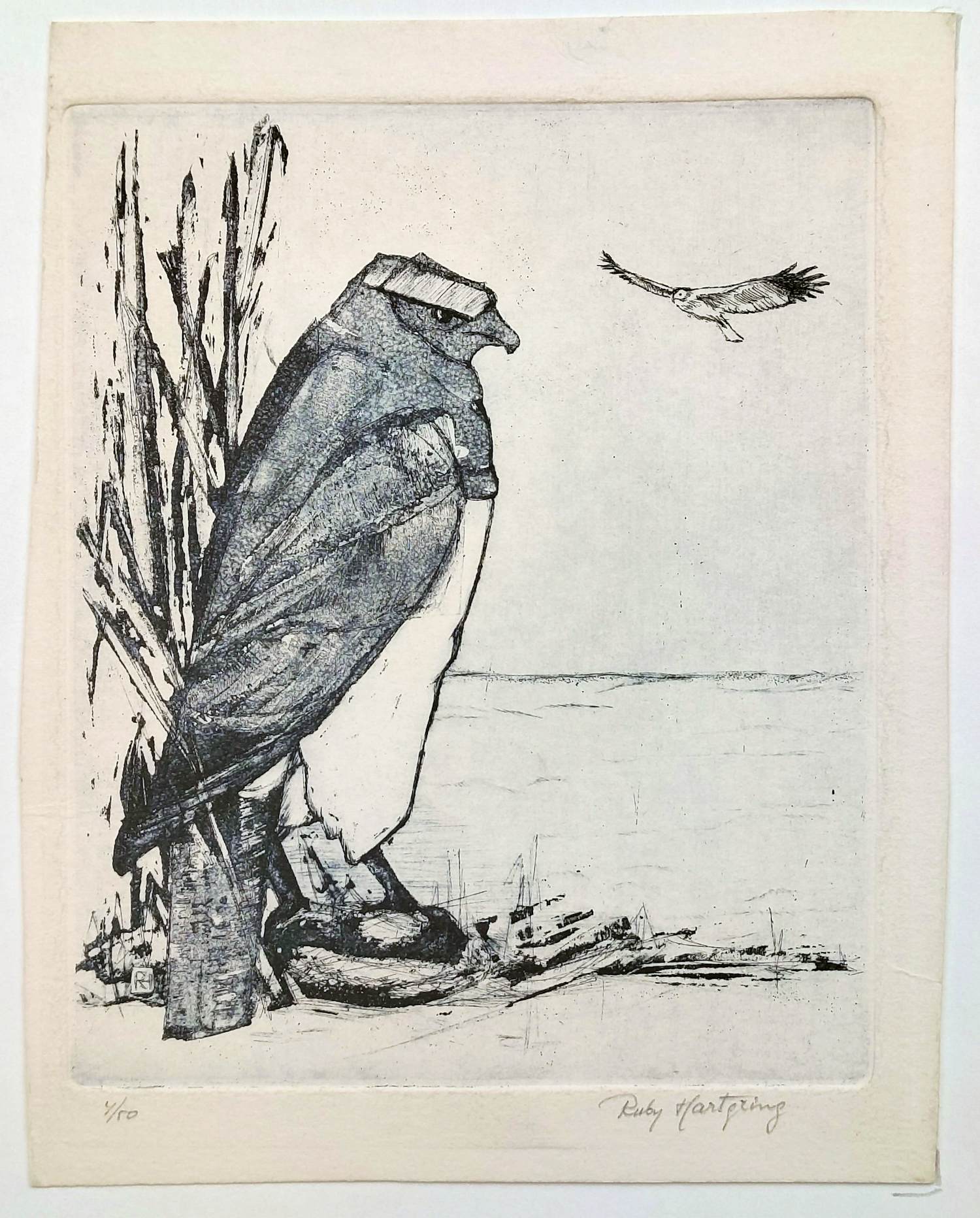 Ruby Hartgring - ets - Arend 4/50 - 26055 kopen? Bied vanaf 75!