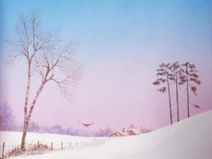 Ari Stolk - Gekleurd landschap #56 kopen? Bied vanaf 30!