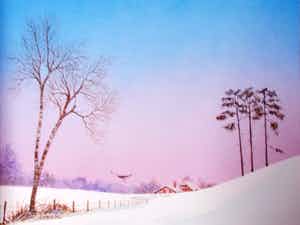 Ari Stolk - Gekleurd landschap #56 verkocht voor € 30!