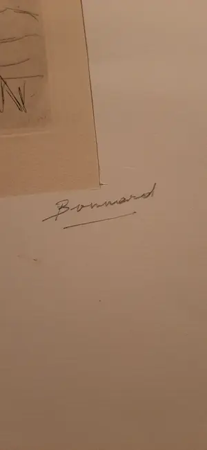 Pierre Bonnard - Ets pierre bonnard kopen? Bied vanaf 1!