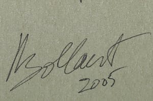 Jan Bollaert - Acryl op doek, Red Chief kopen? Bied vanaf 50!