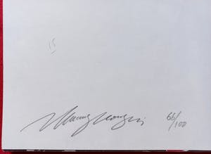 Zhuang Hong Yi - Het monumentale werk, overzichtsboek met gesigneerde zeefdruk (zeer groot) kopen? Bied vanaf 550!