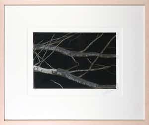 Jan Hendrix - Zeefdruk, Z.T. Bomen - Ingelijst verkocht voor € 50!