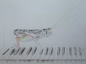 Corstiaan de Vries - (Kleur)potlood-tekening , Sprinkhaan en Bij op piano – ingelijst – 94 x 80 cm kopen? Bied vanaf 1!