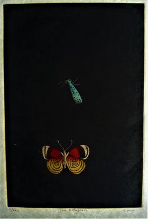 Tomoe Yokoi - Kleurenets - "Two Butterflies" - Handgesigneerd kopen? Bied vanaf 50!