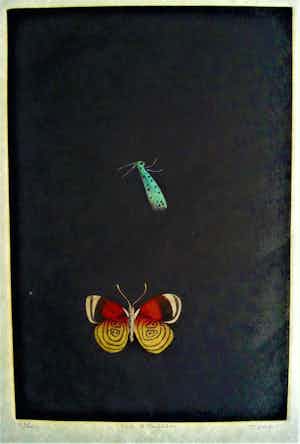 Tomoe Yokoi - Kleurenets - "Two Butterflies" - Handgesigneerd verkocht voor € 50!