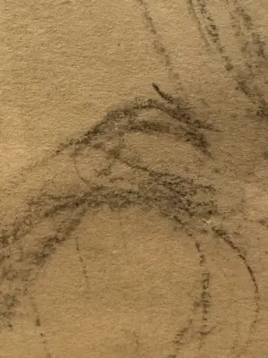 Aat Veldhoen - Aat Veldhoen Naakt kopen? Bied vanaf 75!