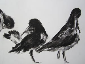 Andre Tigchelaar - Scholeksters kopen? Bied vanaf 20!