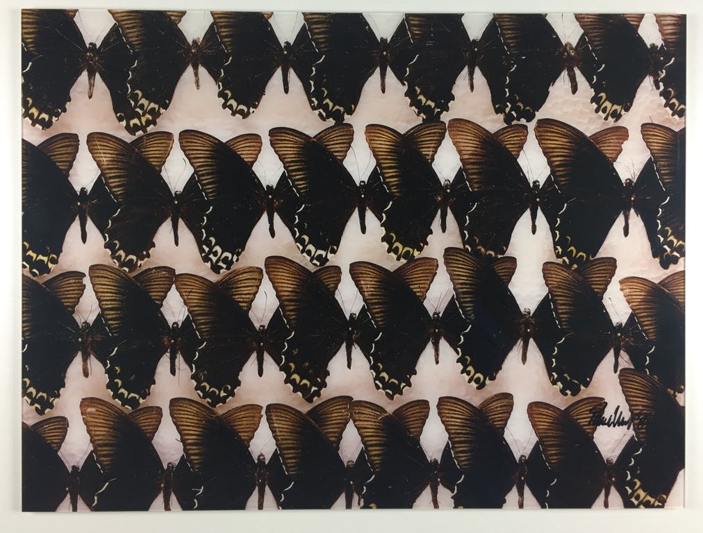 Paul Huf - Paul Huf, foto, 'Indo-Australian Papilionidae', 1984 kopen? Bied vanaf 649!