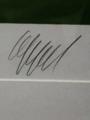 Karel Appel - the green kiss kopen? Bied vanaf 699!