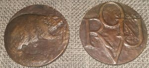 Theo van de Vathorst - Bever bij zijn nest kopen? Bied vanaf 50!